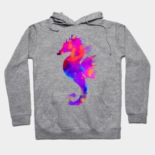 Rainbow Seahorse Hoodie